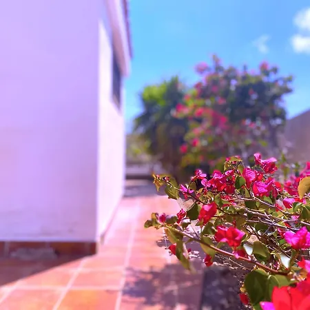 Semesterbostad Tropicalidays Atlantic Hideaway *